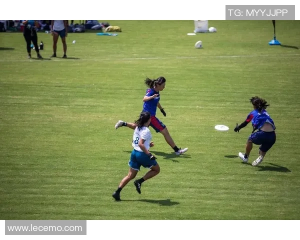 飞盘文化的传承与创新：深入了解北京飞盘队的团队精神与战术理念